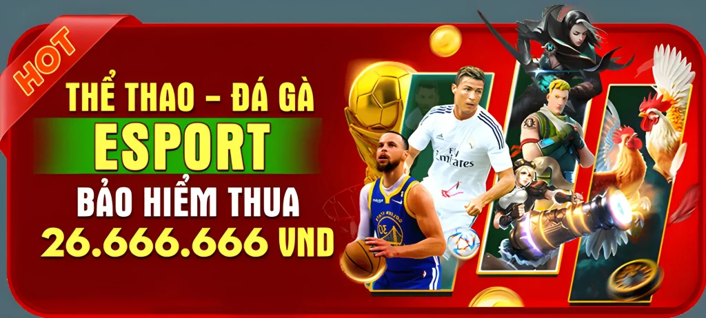 1888m bảo hiểm đá gà thể thao lên tới 26.666.666